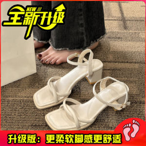[Free Shipping] Womens Sandals 2025 Summer New Fashion Versatile Gentle Retro Chunky Heel Non-Slip Strap High Heels for Summer