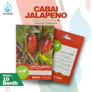 Benih Biji Bibit Cabai Mexican Jalapeno Mix Garden Seed - 10 Benih