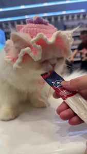 (100 FREE 10 Bundle) High Vitamin Creamy Cat Snack Cat Treat Cat Stick Makanan Jajan Kucing Basah