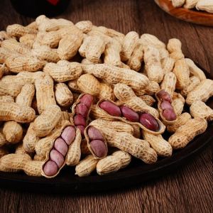 Instant Crispy Peanuts Shelled 218g 龙岩湿烤花生坚果