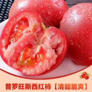 Line Pepper Seeds Chili Seedlings Thin Skin Hangzhou Pepper Seeds Balcony Four Seasons Spring Vegetable Seedlings Chili Seeds Collection