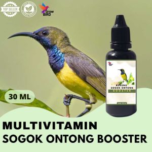 Vitamin Burung Gacor 30 ml Untuk Sogok Ontong Vitamin Penggacor Burung Rekomendasi Burung Kicau