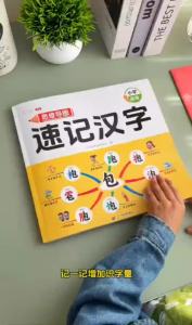 Chinese Character Learning Book - radical recognition activities - for primary school review and home learning - creative DIY supply - easy to organise and suitable for everyday projects - please
