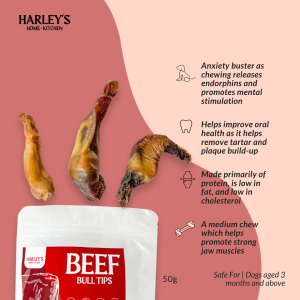 Harley’s Beef Bull Tips - All Natural Dog Chew for Strong Jaws and Dental Health