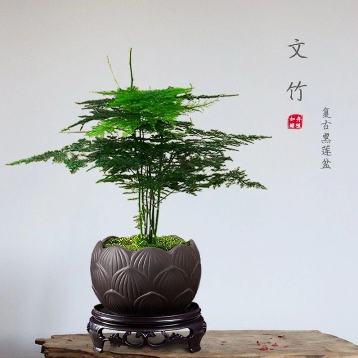 Small Purple Sand Pot. Bonsai Pot.👍💯紫砂陶瓷小花盆有孔花钵绿植