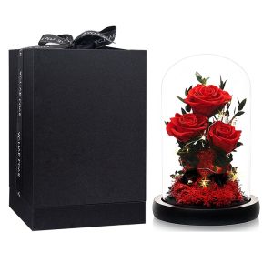 LED Glass Dome Rose Red Preserved Flower Gifts Bouquet Valentine