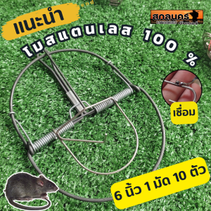 กับดักหนู 6 นิ้วเต็ม โมดีฟายด์ ที่เสียบเหยื่อสแตนเลส กับเวียดนาม กับโม 1 มัด 10 ตัว