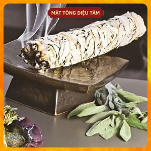 Cây Xô Thơm Trắng/Xô Thơm Xanh/Tuyết tùng Nam California - White Sage/Blue Sage/Cedar Sage
