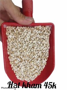 hạt kham trắng thục phẩm cho chim gà 1kg