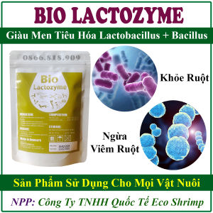 1 Gói Lactozyme Giàu Lactobacillus Hỗ Trợ Tiêu Hóa Vật Nuôi