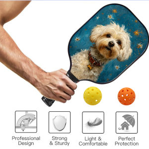 Pickleball Paddles Set Fiberglass Surface Honeycomb Core 1Rackets 2Balls 1Bag for Beginner Men Women ID 60531-154746964