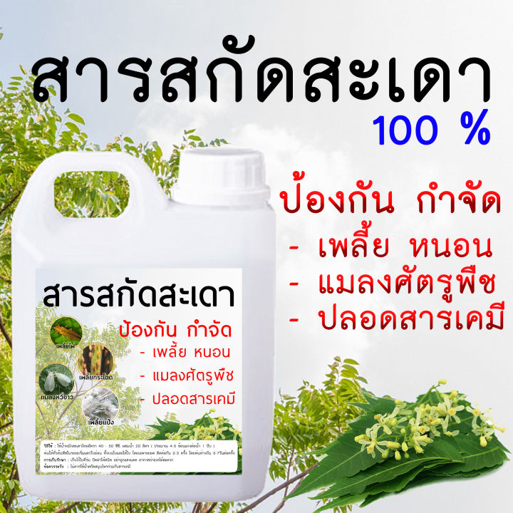 สารสกัดสะเดา 1 ลิตร ป้องกันแมลงในพืชการเกษตร