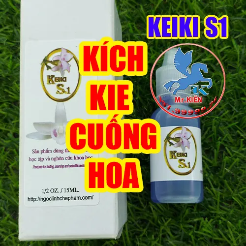 K%C3%8DCH%20KIE%20CU%E1%BB%90NG%20HOA%20PHONG%20LAN%20-%20KEIKI%20S1%20-%20Image%203