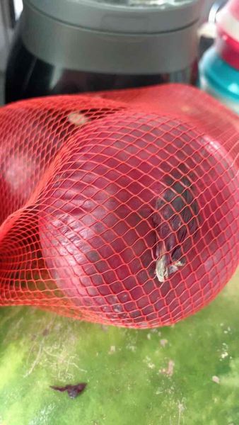 Buyer review video 2
