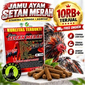 SEMPATI Jamu Setan Merah Ayam Jago Bangkok Suplemen Herbal Ayam Laga Petarung Mental Garang Stamina Tenaga Otot Ayam Aduan Tarung Vitamin Performa Tempur Full Power