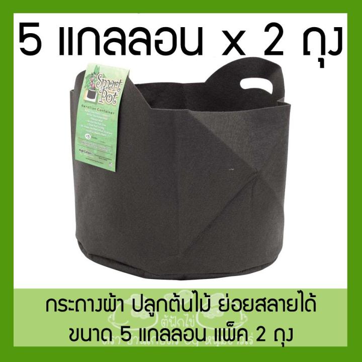 Smart Grow Bag 5 แกลลอน แพ็ค 2 ถุงปลูกผ้าพร้อมที่จับ