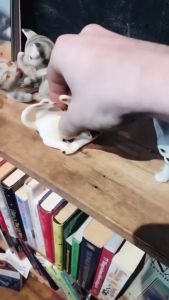 Keo dán định vị cố định chống sốc và chống lật đồ vật Bulaien