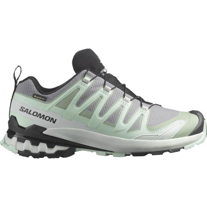 SALOMON XA PRO 3D V9 GTX Women Trial Running Shoes Official Store