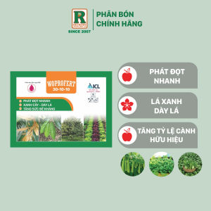 Phân bón hòa tan 30-10-10 PHÁT ĐỌT NHANH - LÁ XANH DÀY - BUNG CHỒI ĐỌT MẠNH xuất xứ ISRAEL ( 250Gr )