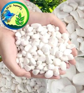 BATU PUTIH SALJU BATU SALJU  ITALY 1 KG DEKORASI AQUASCAPE