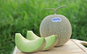 เมล็ดเมล่อนญี่ปุ่น นําเข้า F1 แท้ พันธุ์เพิร์ล เนื้อสีเขียว