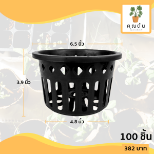 กระถาง กระถางกล้วยไม้ กระถางแขวน กลม 6 นิ้ว สีดำ 100 ใบ ชิ้น อัน