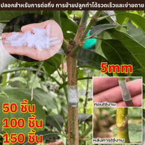 ปลอกสำหรับการต่อกิ่ง การย้ายปลูกทำได้รวดเร็วและง่ายดาย ปลอกต่อกิ่ง กันน้ำ วัสดุซิลิโคน มัลติฟังก์ชั่น คนสวน ตัวช่วยที่ดีในการปลูกสำหรับมือใหม่