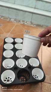 เซ็ท ถาดเพาะ 3 นิ้ว + กระถางสีขาว 15 ใบ