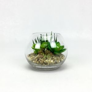 [สวนโหลแก้ว ต้นไม้ปลอมมินิมอล สวนแคคตัสปลอม](สวนโหลแก้ว ต้นไม้ปลอมมินิมอล สวนแคคตัสปลอม)