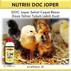 VITAMIN DOC ANAK AYAM JOPER STAMINA SUPER CEPAT BESAR 500 cc / vitamin anak ayam / nutrisi anak ayam