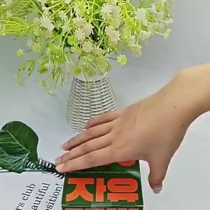 Official Original Jiyu Korean Cotton Toner 100pcs – Anti-Aging & Moisture Toner Pad! Brighten Skin Reduce Wrinkles with Snail Mucin Centella & Niacinamide