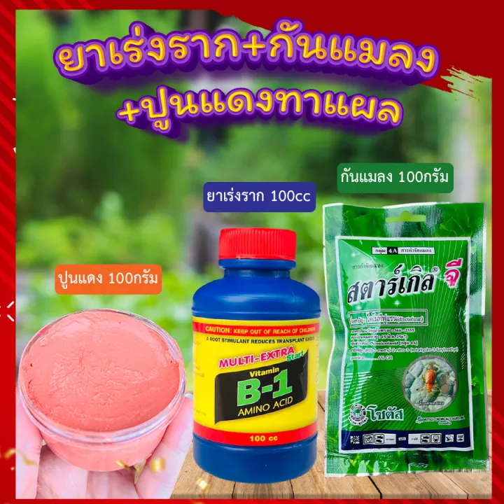 ชุดน้ำยาเร่งราก สตาร์เกิลจี ปูนแดง ป้องกันโรคแมลง