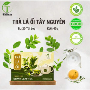 TRÀ LÁ ỔI TÂY NGUYÊN – VHFresh