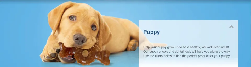 ✨PROMO✨NYLABONE Teething Puppy Chew Bone Wolf Chicken Flavour up