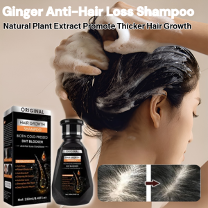 Ginger Anti-Hair Loss Shampoo Natural Plant Extract Promote Thicker Hair Growth Hair Scalp Care Shampoo
