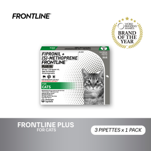 Frontline Plus For Cats 3 Pipettes / Box Anti Tick And Flea Spot-On Anti Itch Pulgas Garapata Safe For Lactating and Pregnant Cats No Prescription Required