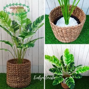 Pohon Daun Musa Florida X18 Semi Latex Artificial Pot Dasar Cover Eceng Gondok Tanaman Hias Pajangan Ruang Tamu Aesthetic