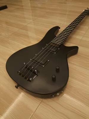 Bass Elektrik SDGR Cocok Untuk Pemula