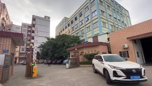 Weiweis Ice Blue Quartz Watch Xiaohongshu Hot Item Steel Band Couples Vintage Style Wristwatch Hot