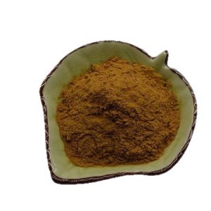 Lycopus Lucidus Extract Powder Food Grade Water-Soluble