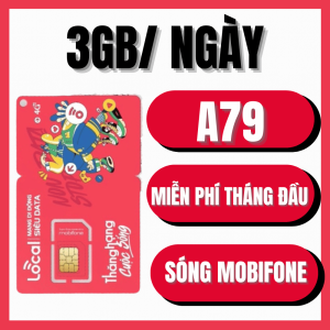 ( MIỄN PHÍ 1 THÁNG ĐẦU ) Sim 4G Local GÓI A69 - A79 - A89 - A99 - A119 Data Tốc Độ Cao Tới 6G/ngày + Miễn Phí Gọi Nội Mạng - Sóng Mobifone dùng toàn quốc - FREESHIP - CHƯA KÍCH HOẠT