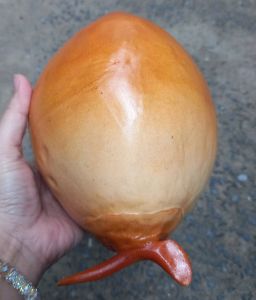 1 Trái dừa size 20cm giả - trái cây giả - TUYET XUAN SHOP