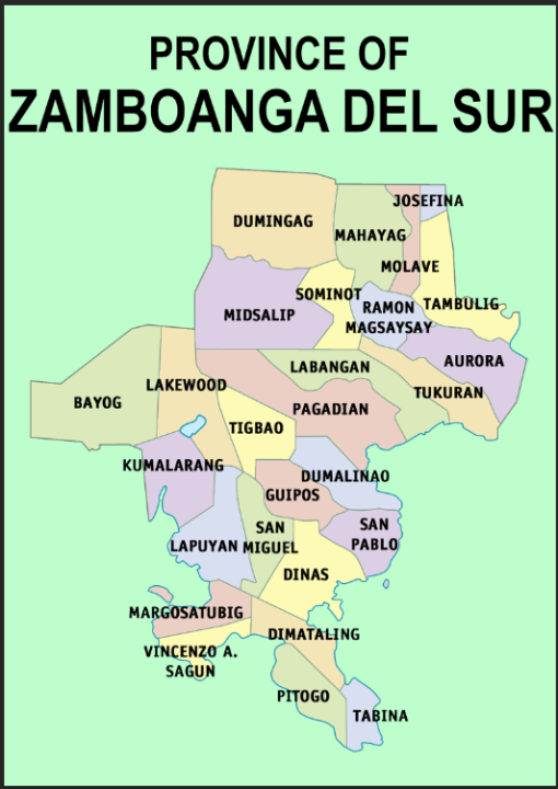 Zamboanga Del Sur Province Map A4 Laminated Chart | Lazada PH