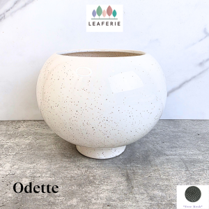 The Leaferie Odette plant pots. flowerpot . flowerpots . flower pot . planter . planters . Ceramic . Plants