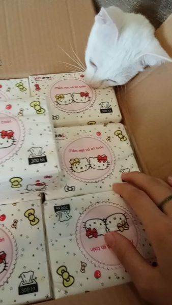 Buyer review video 2