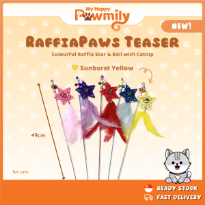 RaffiaPaws Teaser – Colourful Raffia Star & Ball with Catnip for Cats
