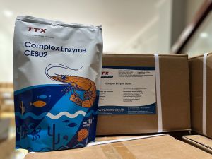 COMPLEX ENZYME CE802 ( ENZYME TỔNG HỢP ĐẬM ĐẶC )