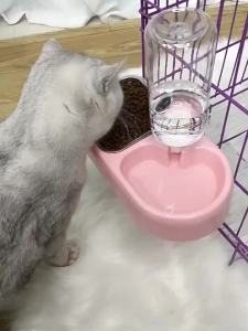 Hanging DualBowl Set with Automatic Water Feeder for Cats and Dogs