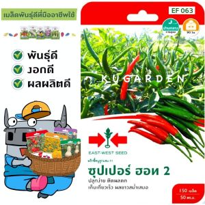 SORNDAENG 🇹🇭 ผักซอง ศรแดง S058# พริกขี้หนู ซุปเปอร์ฮอท 2 F1  เมล็ดพันธุ์ พริก เมล็ดพันธุ์ลูกผสม เมล็ดพันธุ์ผัก ผักสวนครัว ผักศรแดง