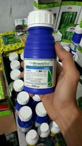 FUNGISIDA MIRAVIS DUO 75/125 SC ISI 250 ML